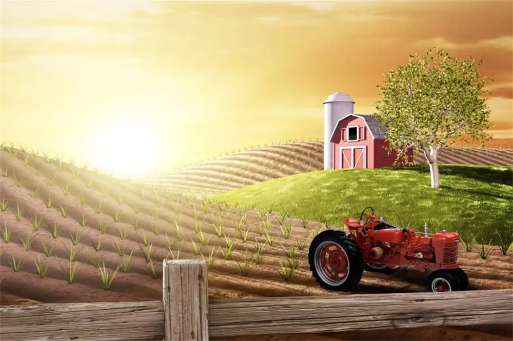 Agriculture Farming Background - Poranek, ruchliwa farma, świeże produkty, wschód
