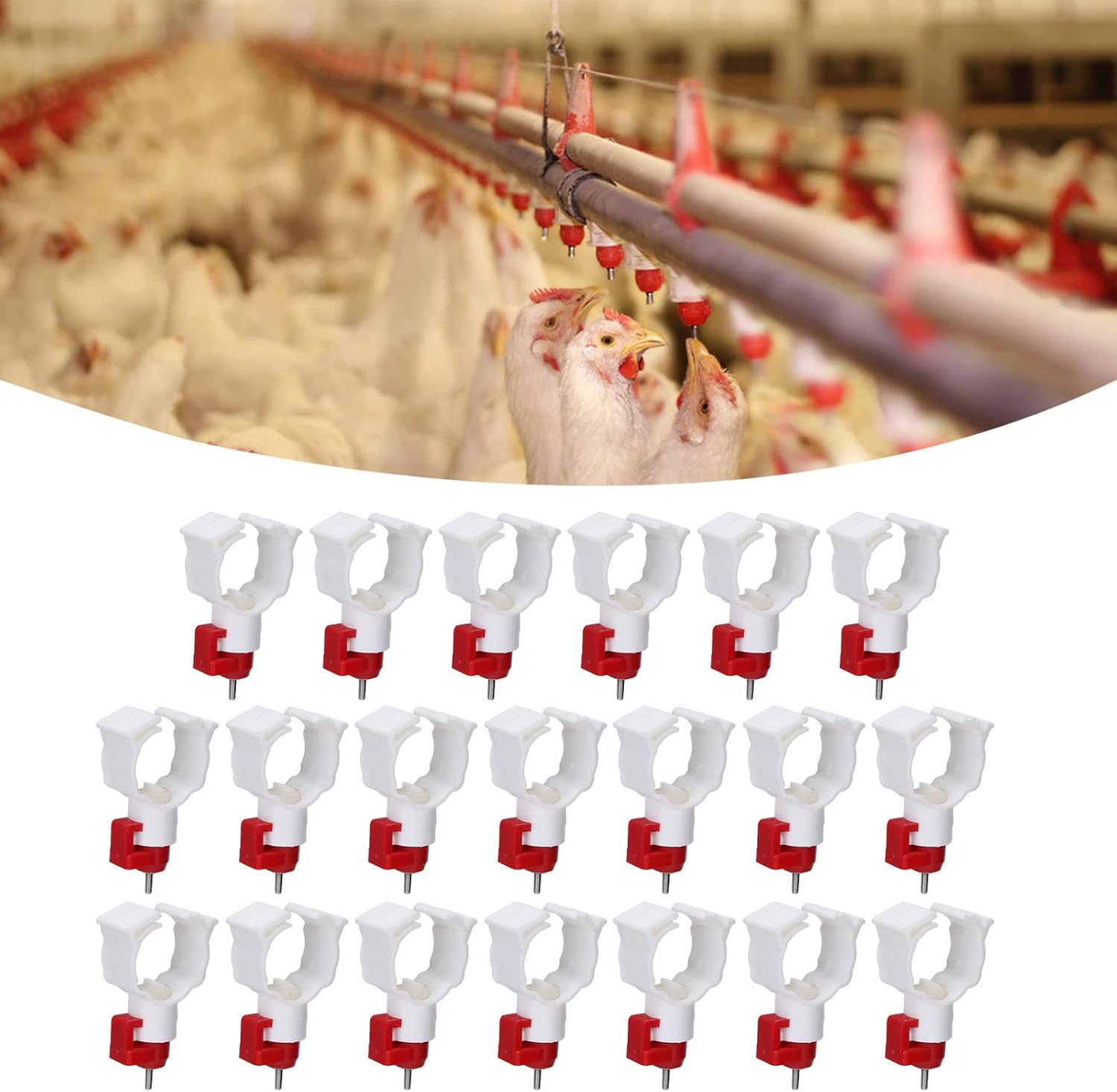 Chicken Nipple Drinker - Wysokiej jakości 20 szt. Poidło smoczkowe