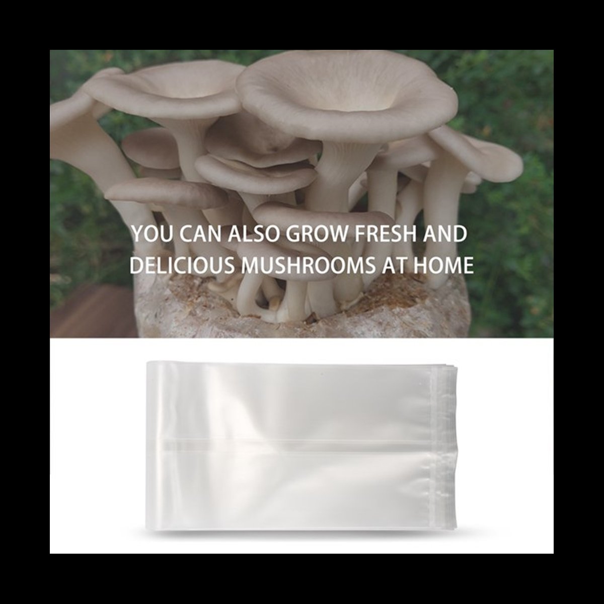 Mushroom Spawn Bag - A78I 50 sztuk worków na grzyby