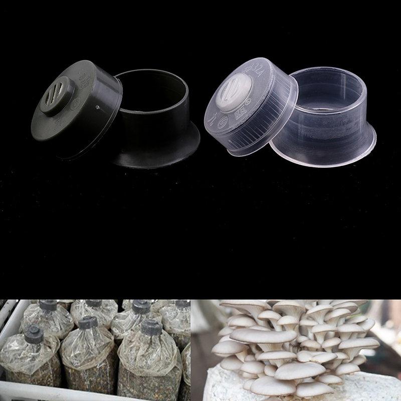 20 sztuk grzyb Spawn powiększa – Mushroom Spawn Bag recenzja i cena