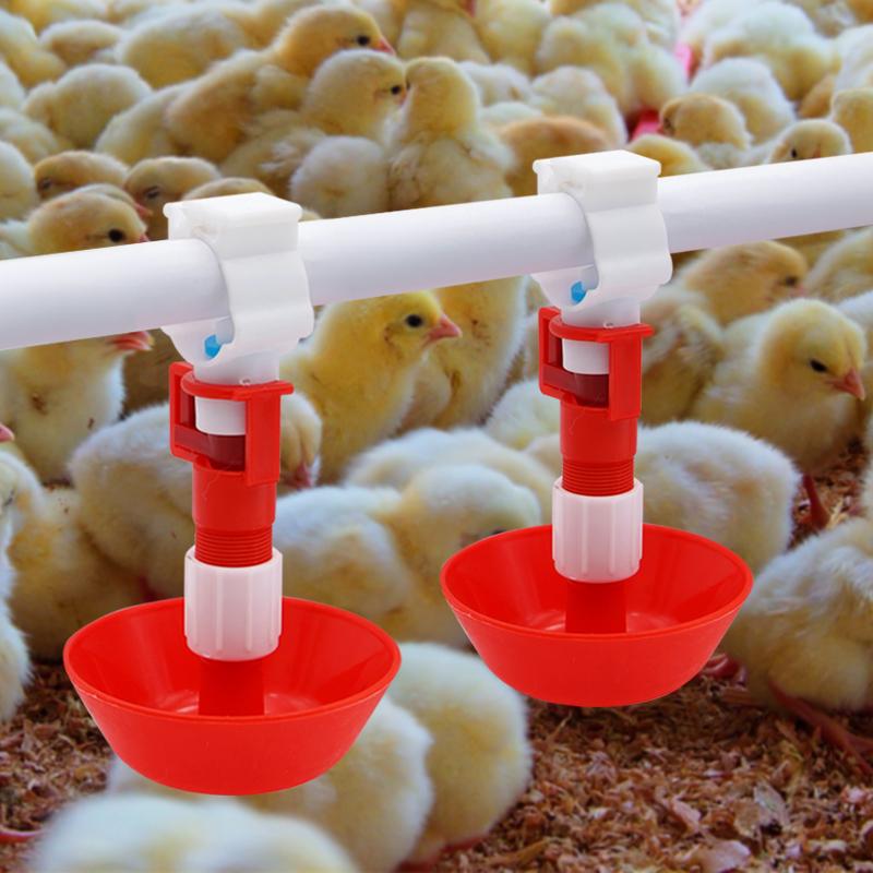 5/10/20 sztuk automatyczny poi – Chicken Nipple Drinker recenzja i cena