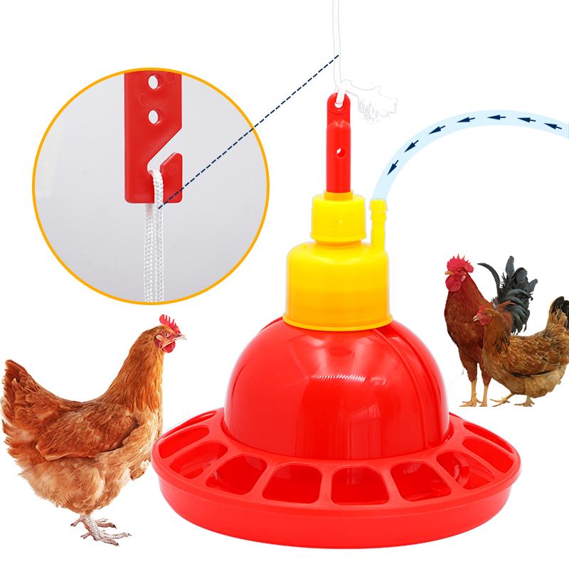 1 zestaw kurczak kaczka gęś br – Chicken Nipple Drinker recenzja i cena