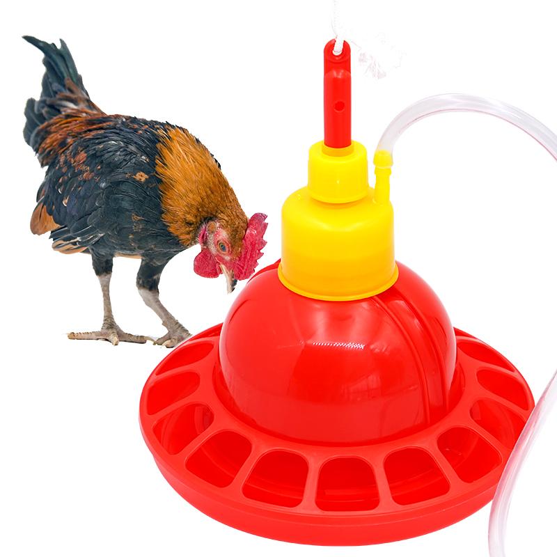 1 zestaw kurczak kaczka gęś br – Chicken Nipple Drinker recenzja i cena