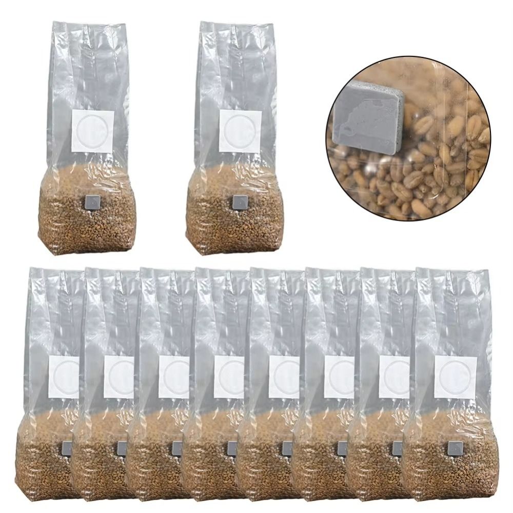 50 szt. Worków do uprawy grzyb – Mushroom Spawn Bag recenzja i cena