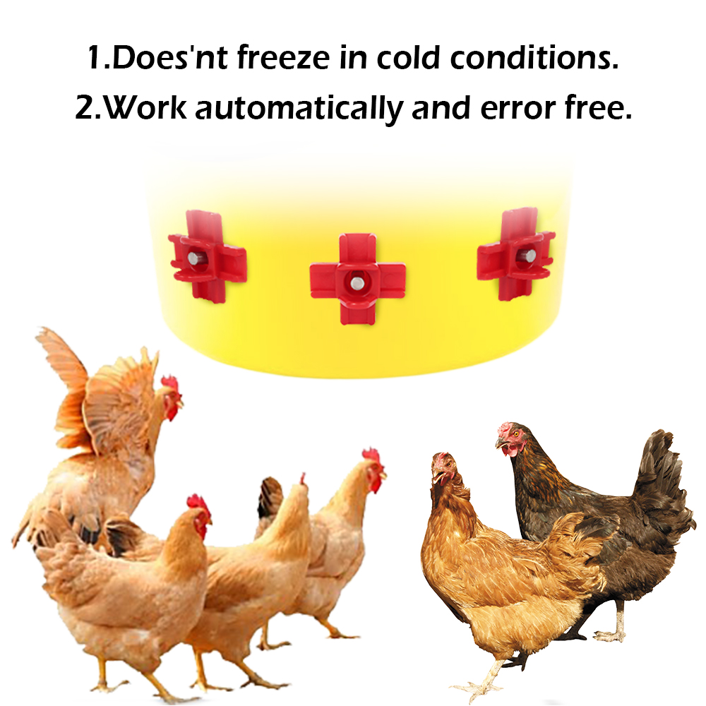 12-częściowy automatyczny poid – Chicken Nipple Drinker recenzja i cena